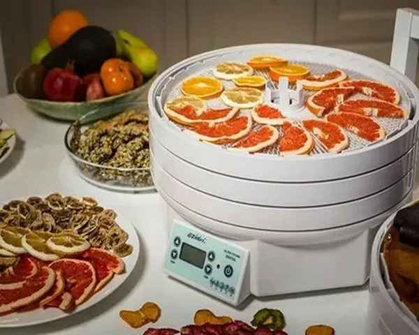 خرید میوه خشک کن خانگی + قیمت فروش استثنایی